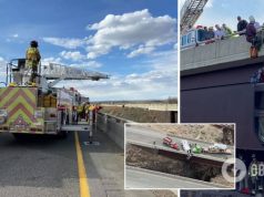 В США пикап с людьми повис с моста над пропастью. Видео спасения