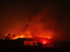 «У всех ружья»: жители Лос-Анджелеса рассказали про лже-пожарных и жадных домовладельцах