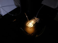 Российские ученые разработали мини-чип для раннего обнаружения рака