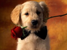 Дни рождения 7 июля