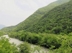 Дана Борисова отдала дочь на растерзание: что ждёт 17-летнюю Полину на острове в шоу Выживалити