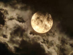 Гороскоп для всех знаков зодиака на 26 августа 2025 года