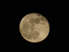 Гороскоп для всех знаков зодиака на 5 сентября 2025 года