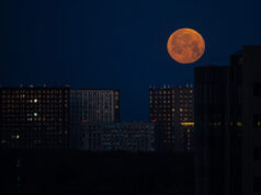 Гороскоп для всех знаков зодиака на 3 сентября 2025 года