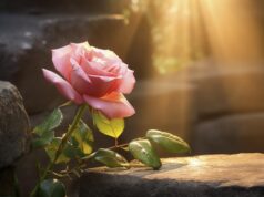 Взрыв после безмолвия: дочь Любови Успенской излила душу после разрыва с женихом