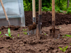 Как удобрить землю осенью