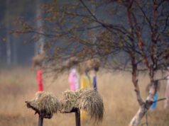 13 октября: что можно, а что нельзя делать на Михаила Соломенного