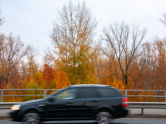 8 октября: что можно, что нельзя делать в День Сергия Радонежского