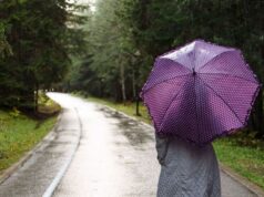 Как пережить осенний дождь без потерь для здоровья: эксперты дали дали быстрые советы