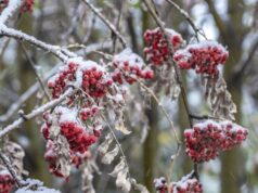 Что можно, а что нельзя делать 18 ноября в День Галактиона