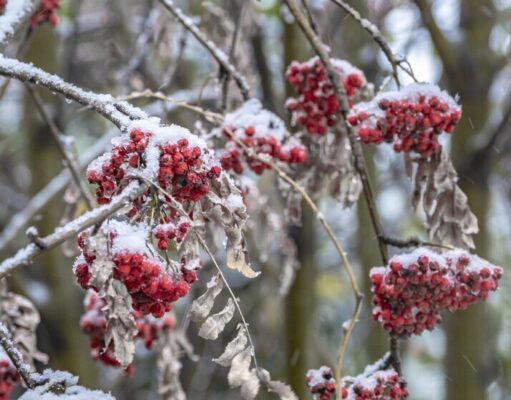 Что можно, а что нельзя делать 18 ноября в День Галактиона