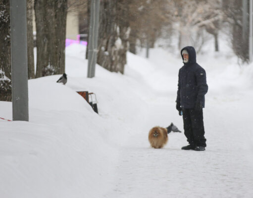 Что можно, а что нельзя делать 11 декабря в Сойкин день