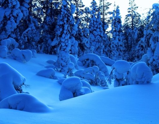 Тысячи туристов заперты во вражеской стране из-за сильного мороза