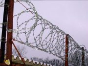 Организаторов и участников школьной травли предложили отправлять в исправительные учреждения