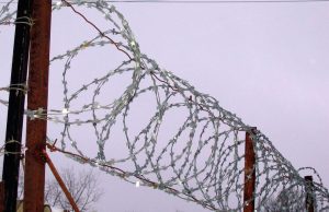 Организаторов и участников школьной травли предложили отправлять в исправительные учреждения