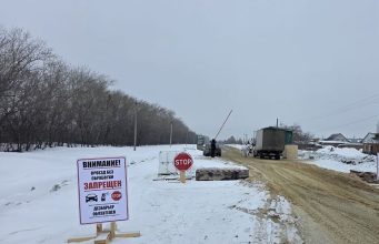 Подмосковные фермеры усомнились в существовании инфекции, из-за которой режут скот в Сибири