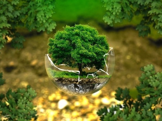 Совфед рассмотрел идею Дмитрия Давыдова по внедрению городских экотехнологий